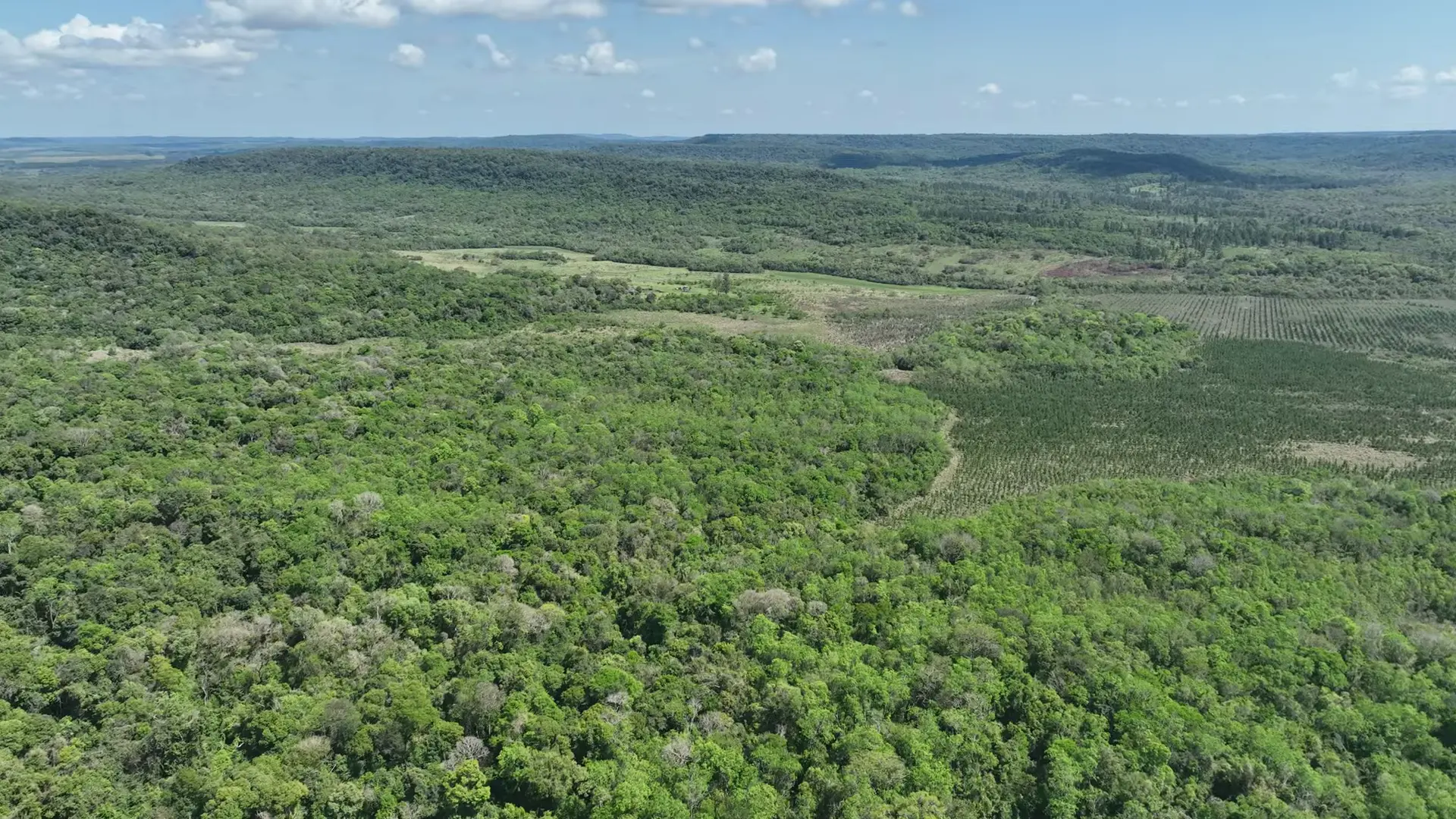 Lote Caá Yarí Concept Nature Misiones