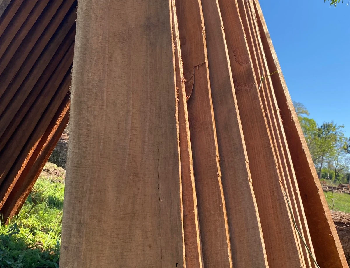 Rollos de Madera Concept Nature